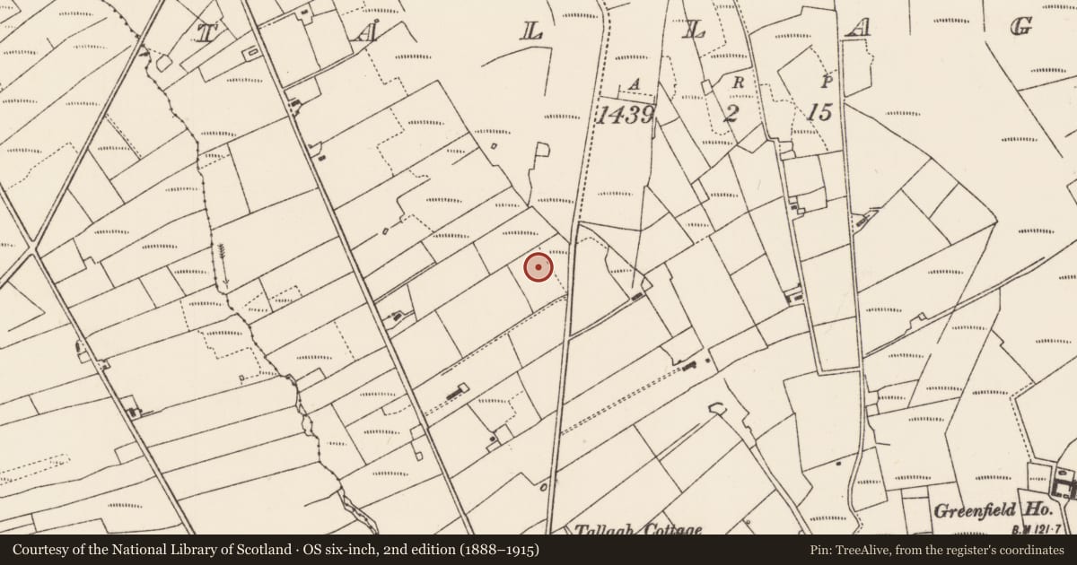 Ordnance Survey six-inch map, 2nd edition (1888–1915) covering the location of Barrow - unclassified, Talach, County Mayo, with a pin at the register's coordinates