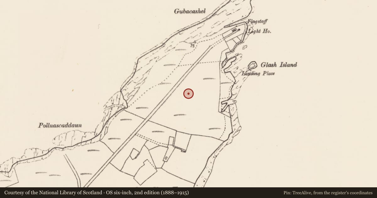 Ordnance Survey six-inch map, 2nd edition (1888–1915) covering the location of Road - gravel/stone trackway - peatland, An Baile Glas, County Mayo, with a pin at the register's coordinates