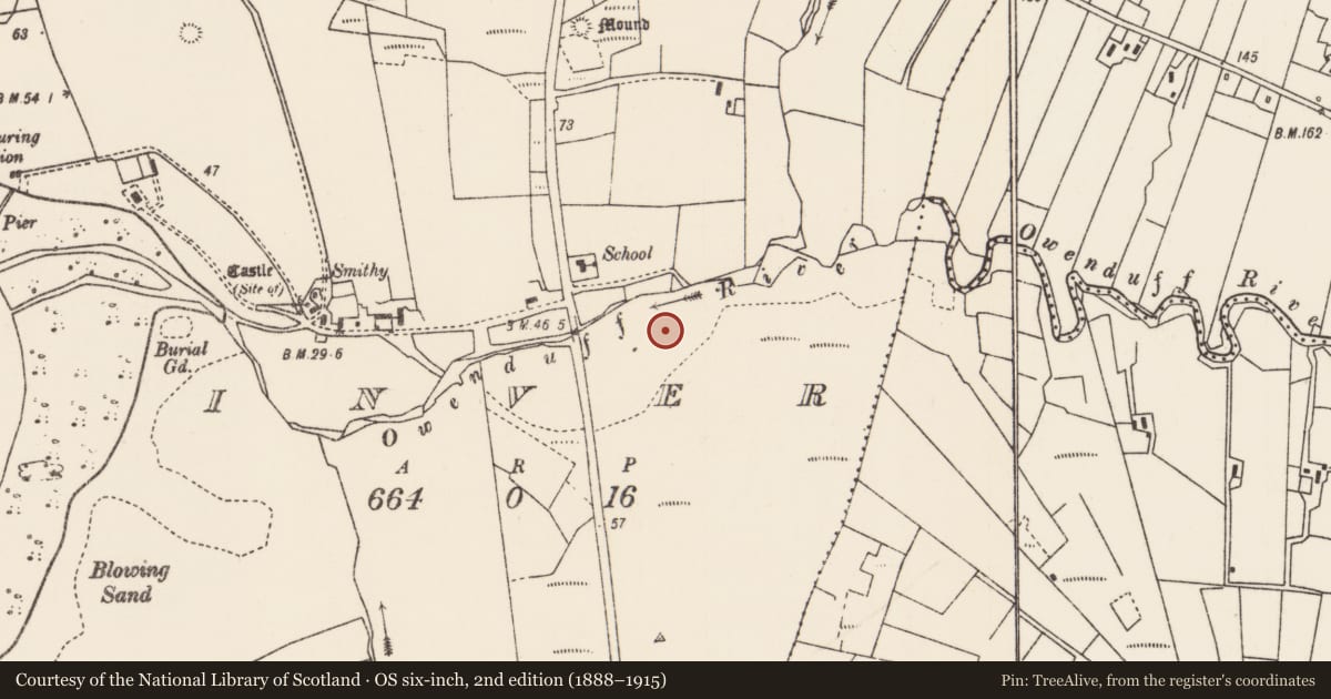 Ordnance Survey six-inch map, 2nd edition (1888–1915) covering the location of Megalithic tomb - unclassified, An Tinbhear, County Mayo, with a pin at the register's coordinates