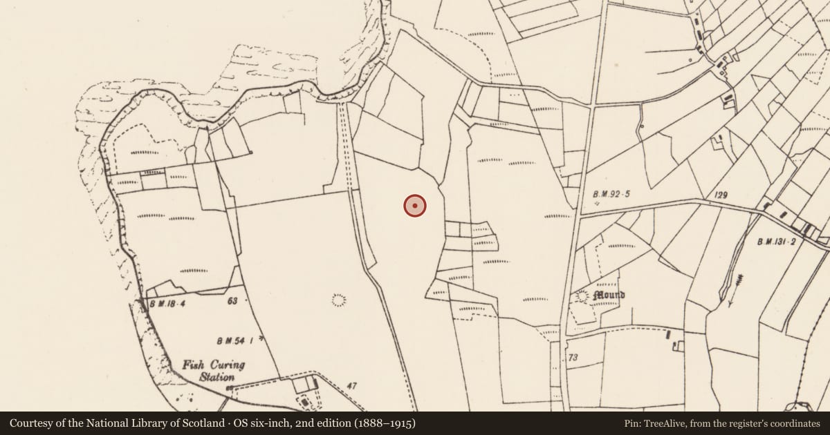 Ordnance Survey six-inch map, 2nd edition (1888–1915) covering the location of Standing stone, An Tinbhear, County Mayo, with a pin at the register's coordinates