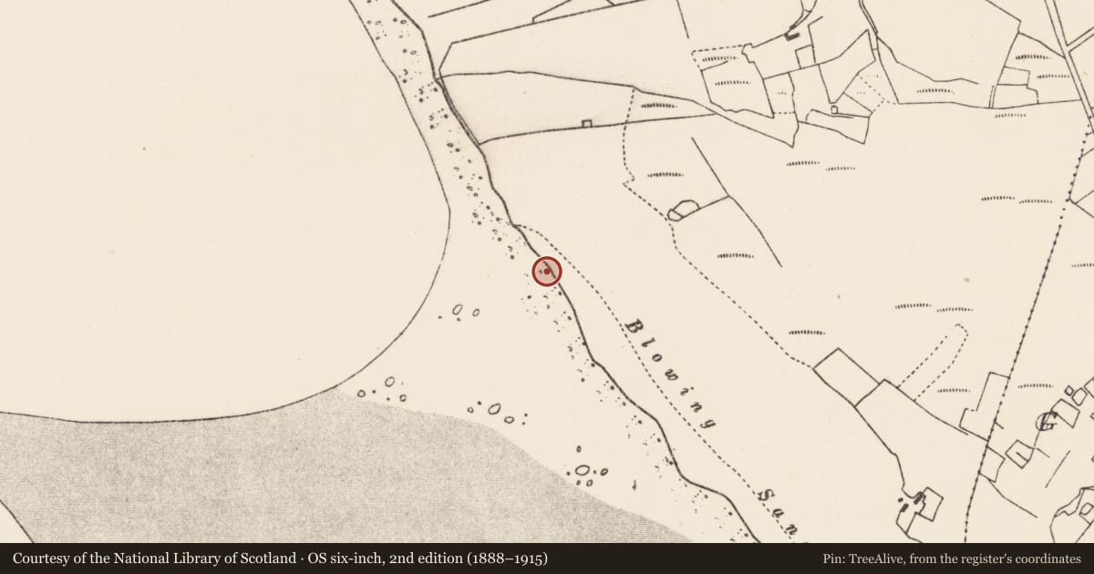 Ordnance Survey six-inch map, 2nd edition (1888–1915) covering the location of Mound, An Tinbhear, County Mayo, with a pin at the register's coordinates