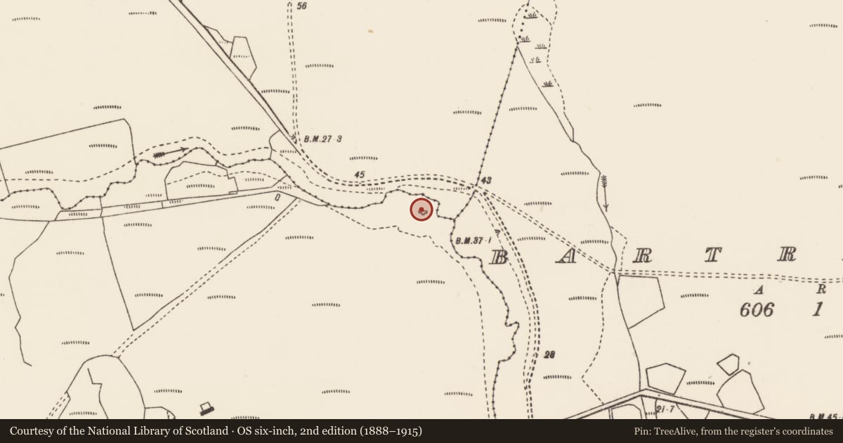 Ordnance Survey six-inch map, 2nd edition (1888–1915) covering the location of Metalworking site, Talach, County Mayo, with a pin at the register's coordinates