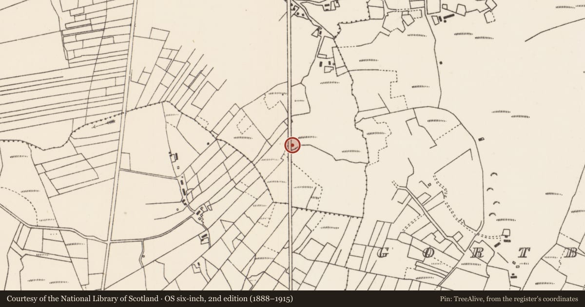 Ordnance Survey six-inch map, 2nd edition (1888–1915) covering the location of Megalithic structure, Greamhchoill, County Mayo, with a pin at the register's coordinates