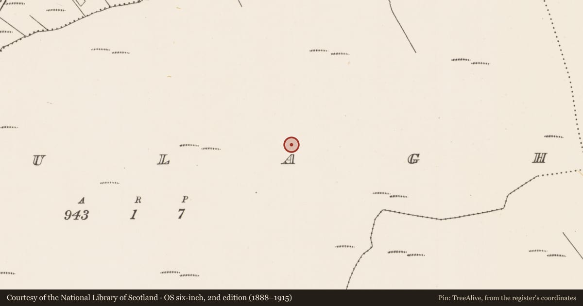 Ordnance Survey six-inch map, 2nd edition (1888–1915) covering the location of Megalithic tomb - unclassified, Fálach, County Mayo, with a pin at the register's coordinates