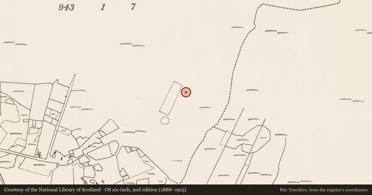 Ordnance Survey six-inch map, 2nd edition (1888–1915) covering the location of Megalithic tomb - unclassified, Fálach, County Mayo, with a pin at the register's coordinates