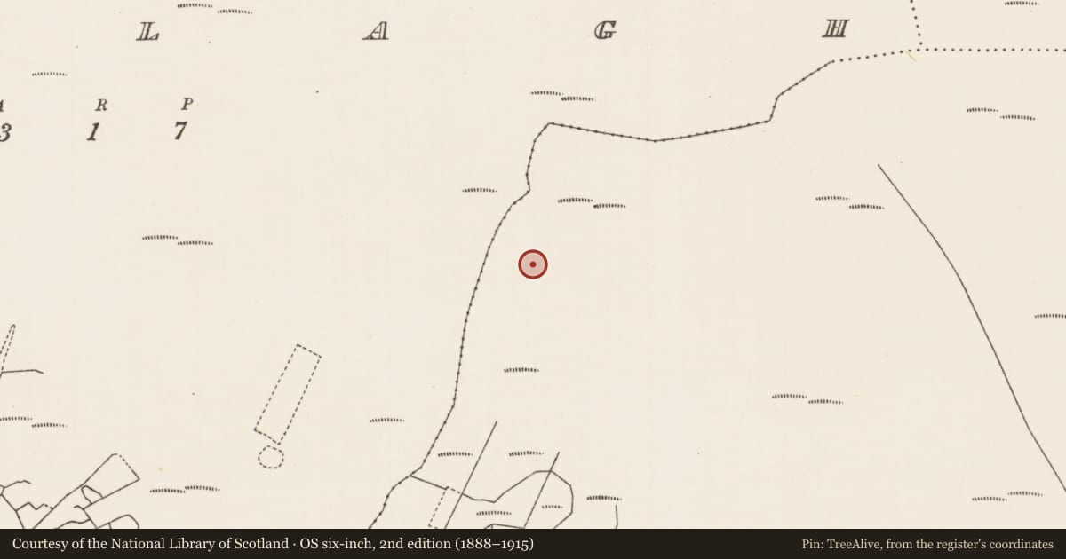 Ordnance Survey six-inch map, 2nd edition (1888–1915) covering the location of Megalithic tomb - unclassified, Moing Eiriún Theas, County Mayo, with a pin at the register's coordinates