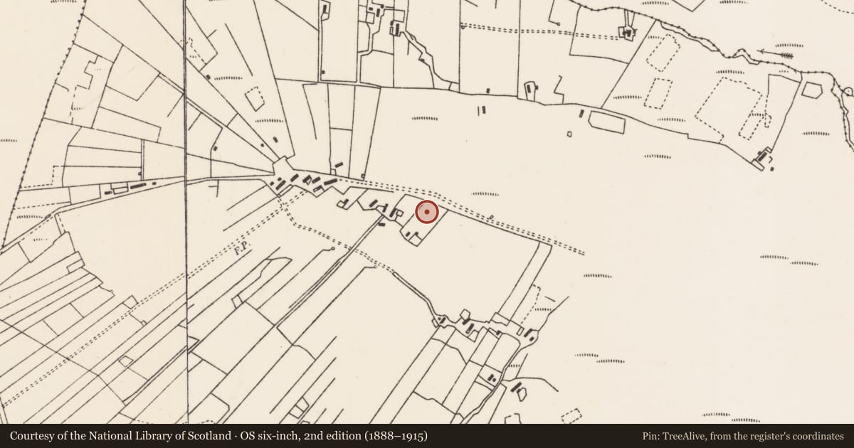 Ordnance Survey six-inch map, 2nd edition (1888–1915) covering the location of Barrow - unclassified, Gort Meille, County Mayo, with a pin at the register's coordinates