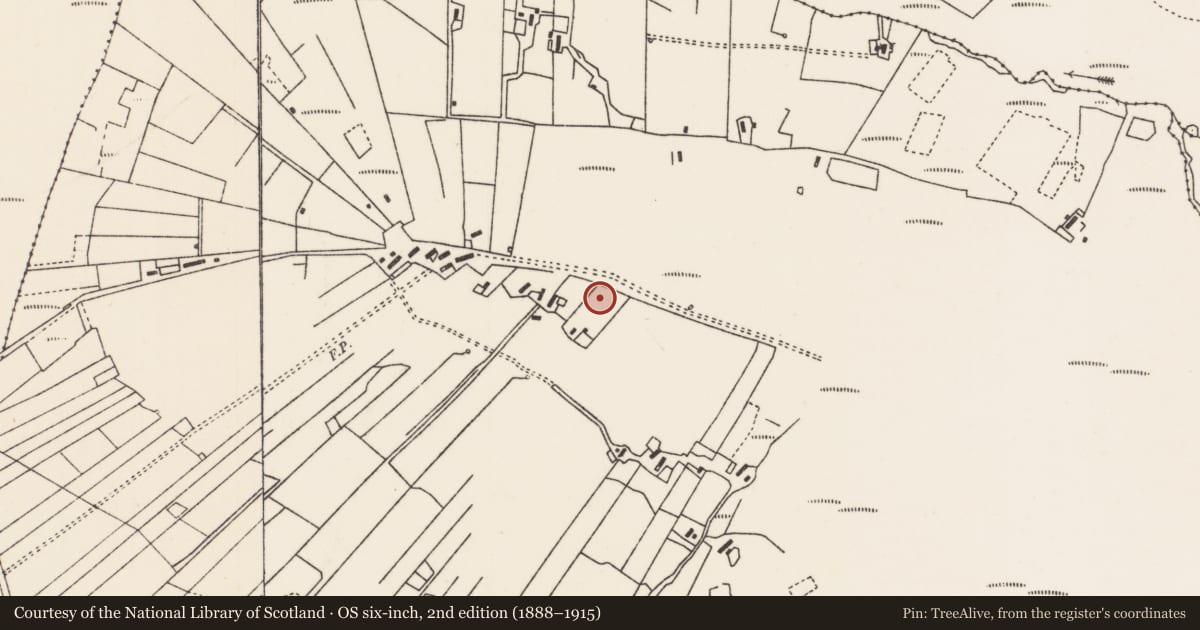 Ordnance Survey six-inch map, 2nd edition (1888–1915) covering the location of Cist, Gort Meille, County Mayo, with a pin at the register's coordinates