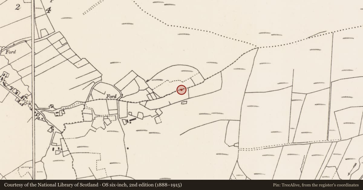 Ordnance Survey six-inch map, 2nd edition (1888–1915) covering the location of Field system, County Mayo, with a pin at the register's coordinates