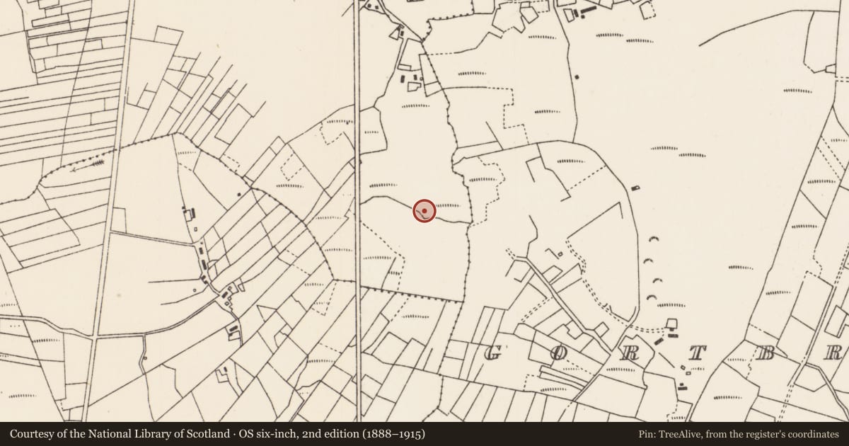 Ordnance Survey six-inch map, 2nd edition (1888–1915) covering the location of Field system, Greamhchoill, County Mayo, with a pin at the register's coordinates