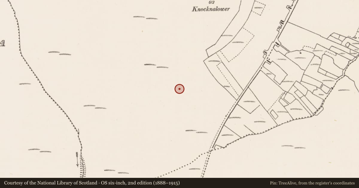 Ordnance Survey six-inch map, 2nd edition (1888–1915) covering the location of Field system, Cnoc Na Lobhar, County Mayo, with a pin at the register's coordinates