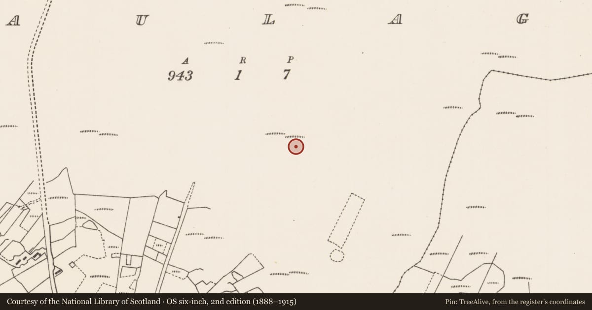 Ordnance Survey six-inch map, 2nd edition (1888–1915) covering the location of Field system, Fálach, Moing Eiriún Theas, County Mayo, with a pin at the register's coordinates