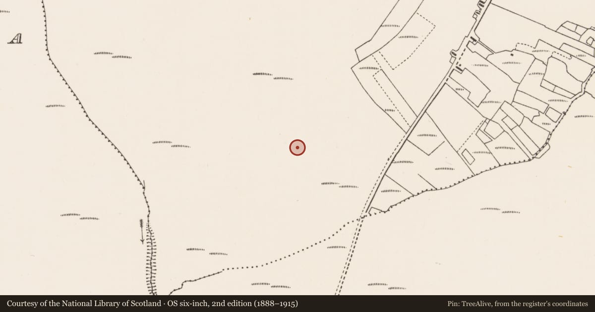 Ordnance Survey six-inch map, 2nd edition (1888–1915) covering the location of Stone circle, Cnoc Na Lobhar, County Mayo, with a pin at the register's coordinates