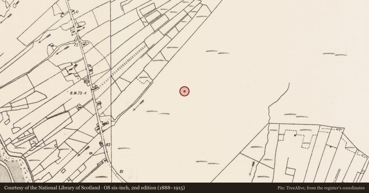 Ordnance Survey six-inch map, 2nd edition (1888–1915) covering the location of House - indeterminate date, Gort Meille, County Mayo, with a pin at the register's coordinates