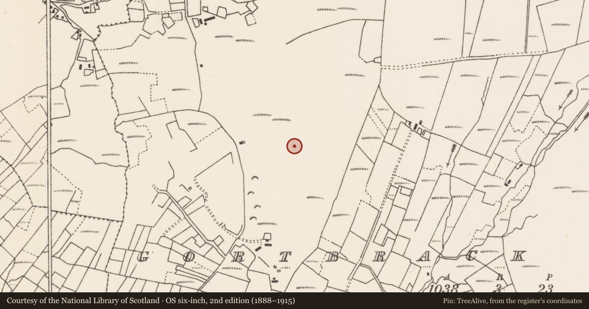 Ordnance Survey six-inch map, 2nd edition (1888–1915) covering the location of House - indeterminate date, An Gort Breac Thuaidh, County Mayo, with a pin at the register's coordinates