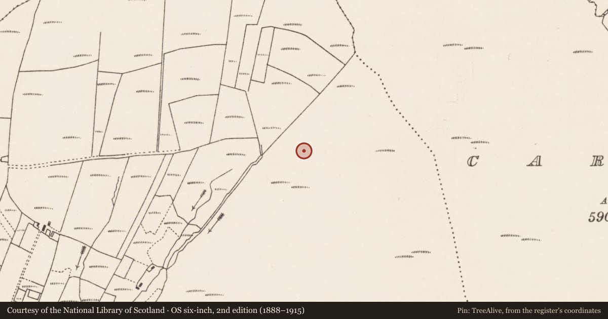 Ordnance Survey six-inch map, 2nd edition (1888–1915) covering the location of Road - unclassified togher, An Gort Breac Thuaidh, County Mayo, with a pin at the register's coordinates