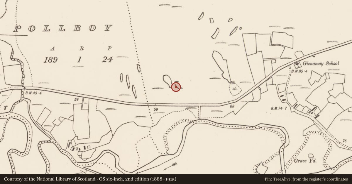 Ordnance Survey six-inch map, 2nd edition (1888–1915) covering the location of Crannog, Bun Alltaí, County Mayo, with a pin at the register's coordinates