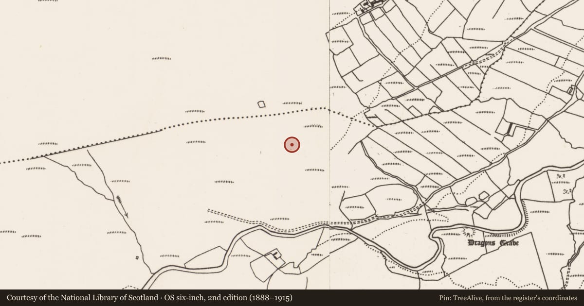Ordnance Survey six-inch map, 2nd edition (1888–1915) covering the location of Standing stone - pair, Keerglen, County Mayo, with a pin at the register's coordinates