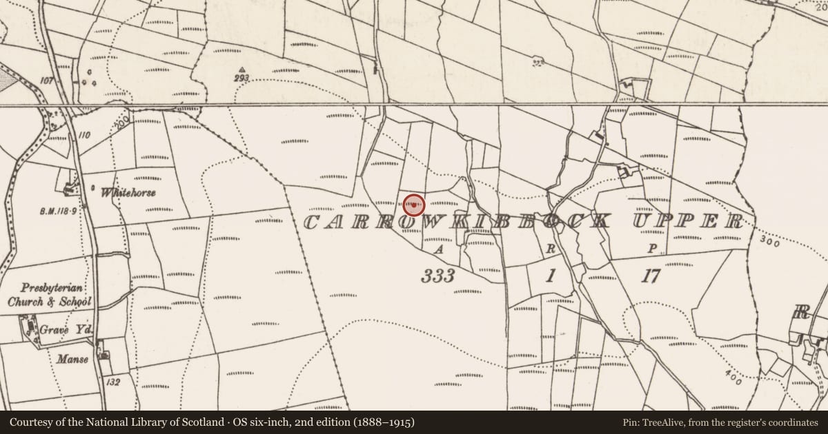 Ordnance Survey six-inch map, 2nd edition (1888–1915) covering the location of Ringfort - rath, Carrowkibbock Upper, County Mayo, with a pin at the register's coordinates