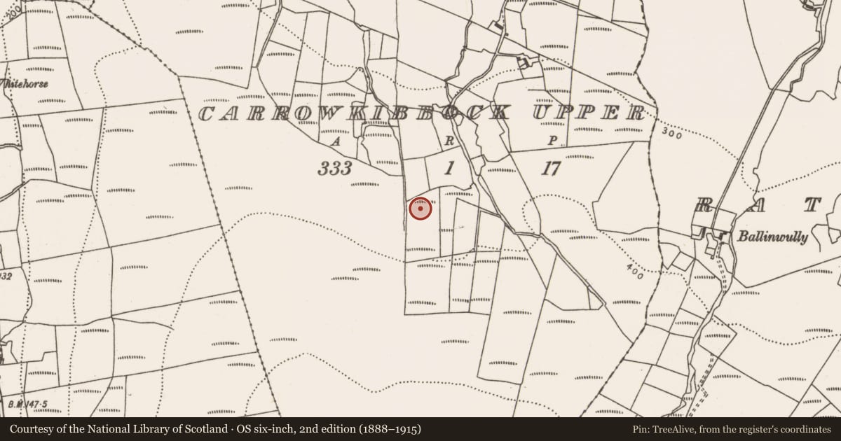 Ordnance Survey six-inch map, 2nd edition (1888–1915) covering the location of Megalithic tomb - court tomb, Carrowkibbock Upper, County Mayo, with a pin at the register's coordinates