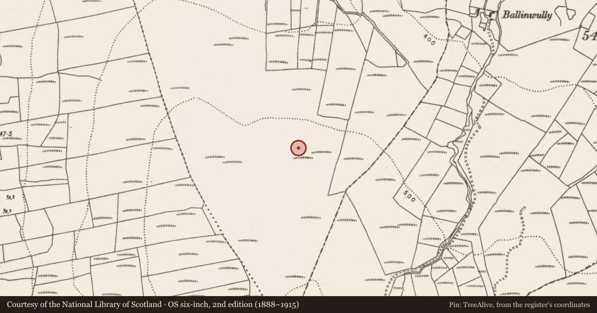 Ordnance Survey six-inch map, 2nd edition (1888–1915) covering the location of Enclosure, Carrowkibbock Upper, County Mayo, with a pin at the register's coordinates