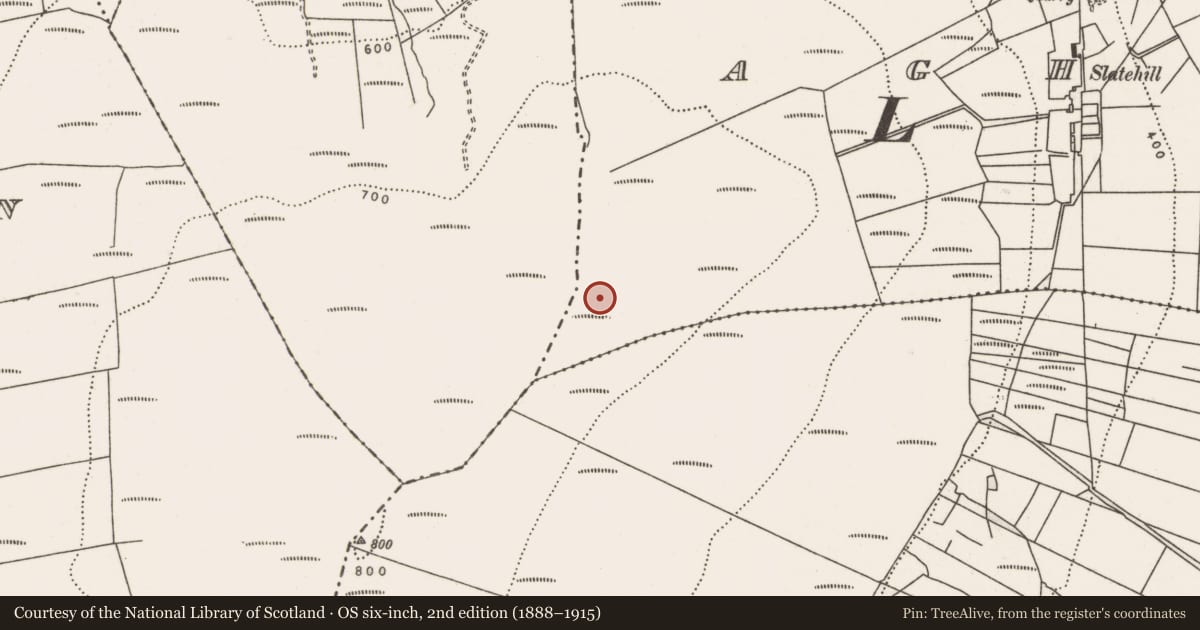 Ordnance Survey six-inch map, 2nd edition (1888–1915) covering the location of Cairn - unclassified, Aghaleague, County Mayo, with a pin at the register's coordinates