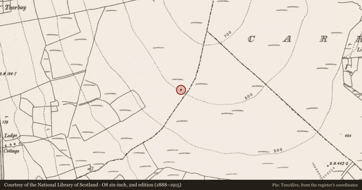 Ordnance Survey six-inch map, 2nd edition (1888–1915) covering the location of Megalithic tomb - court tomb, Ballinglen, County Mayo, with a pin at the register's coordinates