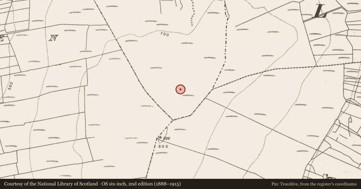 Ordnance Survey six-inch map, 2nd edition (1888–1915) covering the location of Field system, County Mayo, with a pin at the register's coordinates