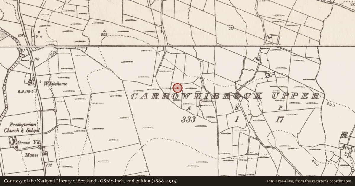 Ordnance Survey six-inch map, 2nd edition (1888–1915) covering the location of House - indeterminate date, Carrowkibbock Upper, County Mayo, with a pin at the register's coordinates