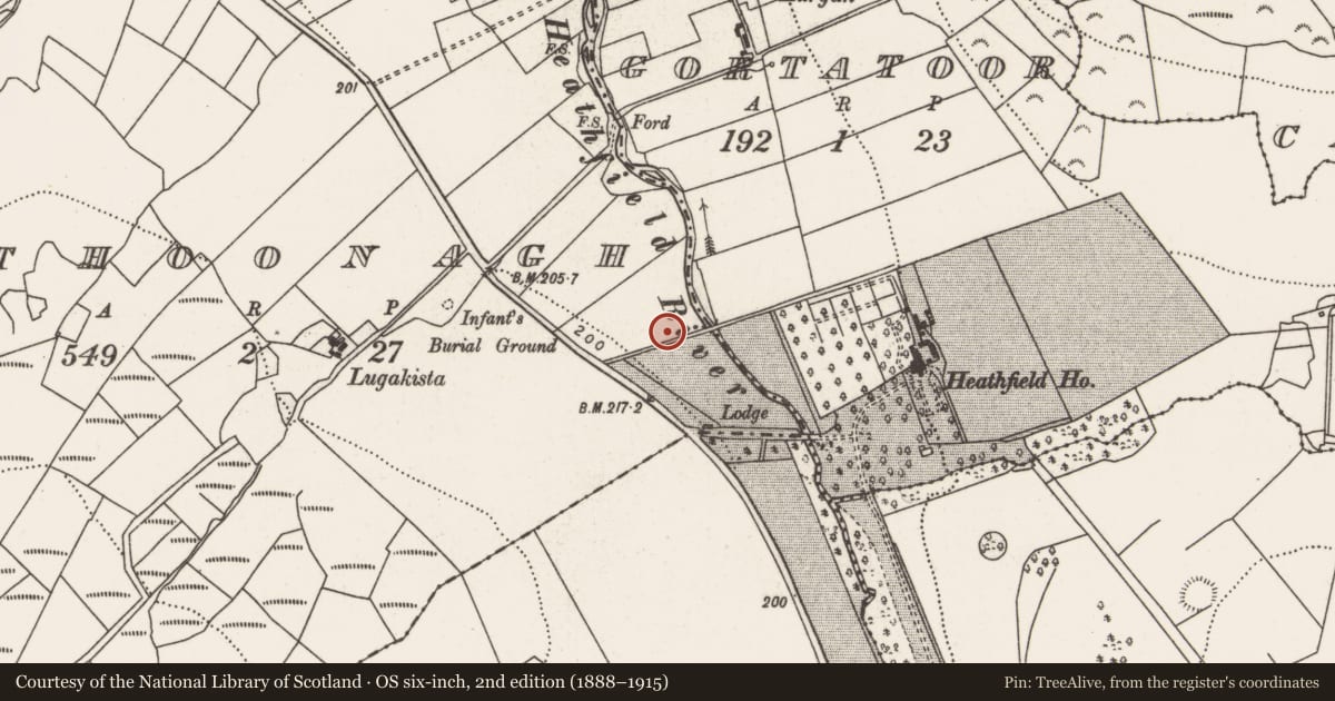 Ordnance Survey six-inch map, 2nd edition (1888–1915) covering the location of Megalithic tomb - court tomb, Rathoonagh, County Mayo, with a pin at the register's coordinates