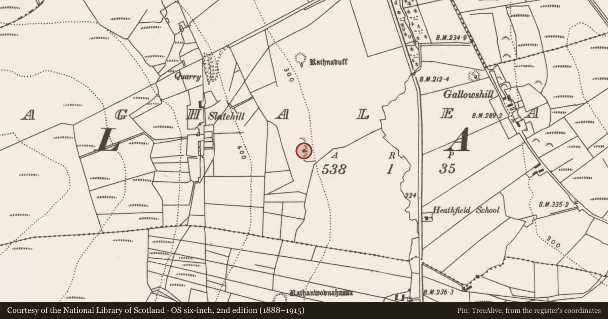 Ordnance Survey six-inch map, 2nd edition (1888–1915) covering the location of Ringfort - rath, Aghaleague, County Mayo, with a pin at the register's coordinates