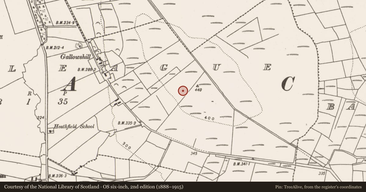 Ordnance Survey six-inch map, 2nd edition (1888–1915) covering the location of Megalithic tomb - court tomb, Aghaleague, County Mayo, with a pin at the register's coordinates