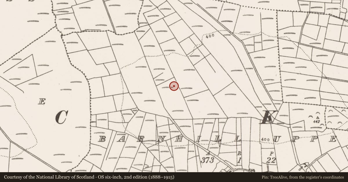 Ordnance Survey six-inch map, 2nd edition (1888–1915) covering the location of Field boundary, County Mayo, with a pin at the register's coordinates