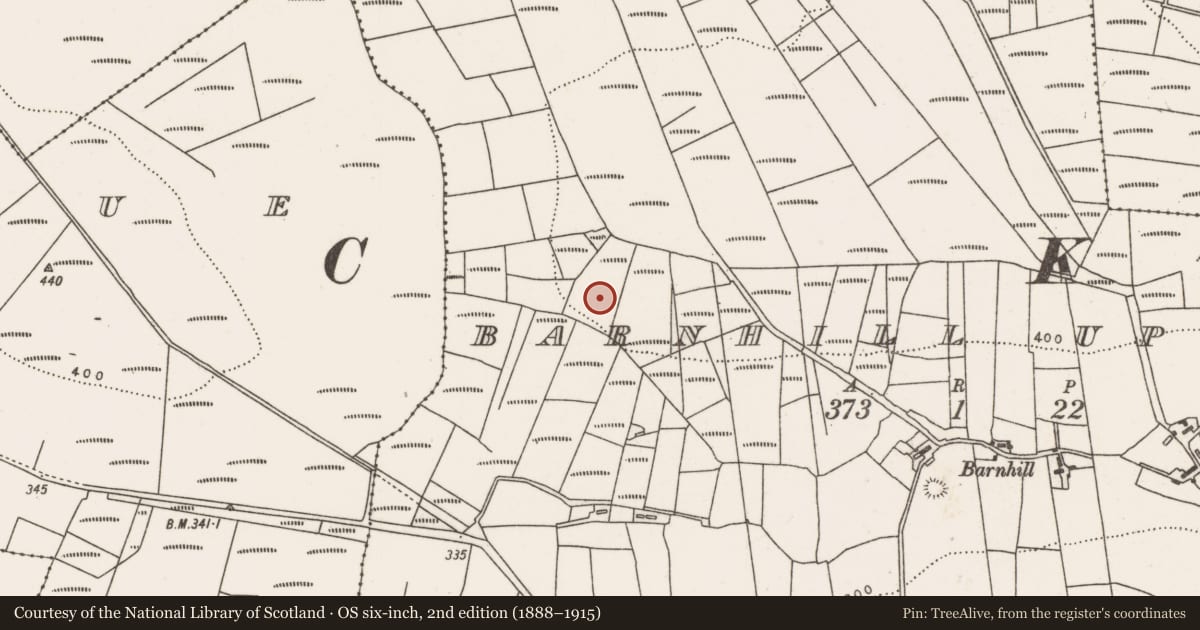 Ordnance Survey six-inch map, 2nd edition (1888–1915) covering the location of Megalithic tomb - court tomb, Barnhill Upper, County Mayo, with a pin at the register's coordinates