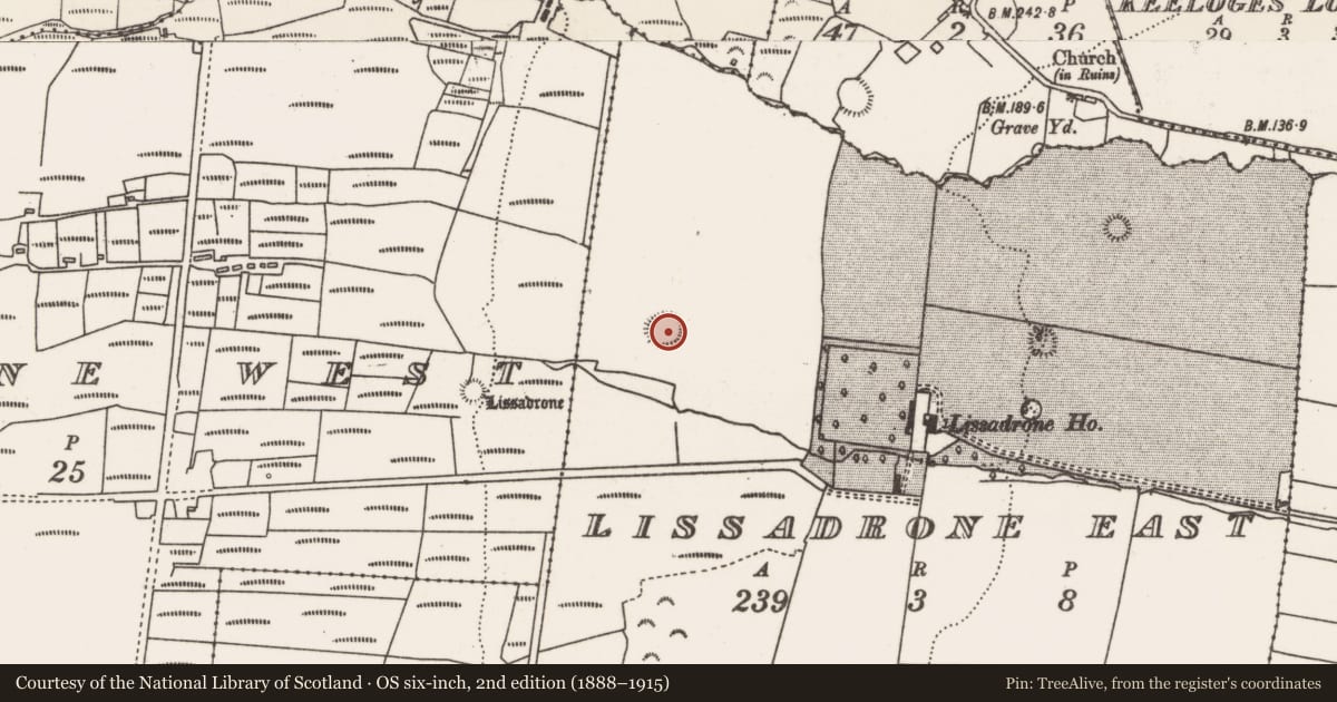 Ordnance Survey six-inch map, 2nd edition (1888–1915) covering the location of Ringfort - rath, Lissadrone East, County Mayo, with a pin at the register's coordinates