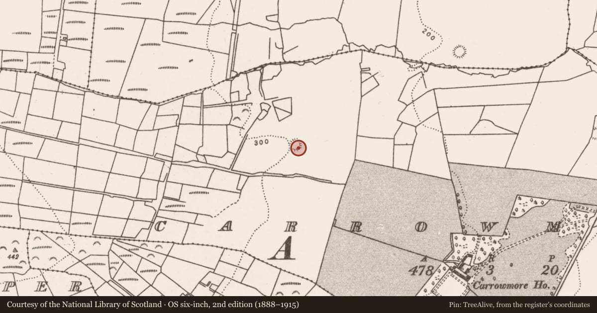 Ordnance Survey six-inch map, 2nd edition (1888–1915) covering the location of Ringfort - rath, Carrowmore ([Tirawley By., Lackan Par.), County Mayo, with a pin at the register's coordinates