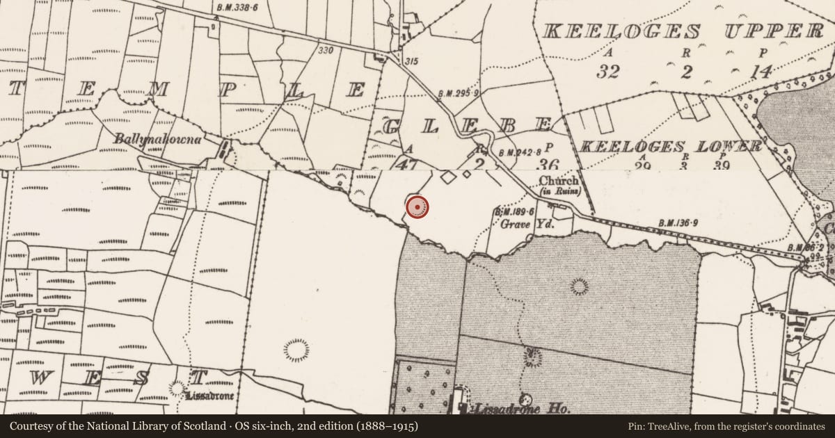 Ordnance Survey six-inch map, 2nd edition (1888–1915) covering the location of Ringfort - rath, Glebe (Tirawley By., Lackan Par.), County Mayo, with a pin at the register's coordinates