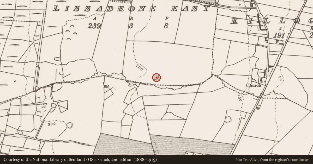 Ordnance Survey six-inch map, 2nd edition (1888–1915) covering the location of Ringfort - rath, Lissadrone East, County Mayo, with a pin at the register's coordinates