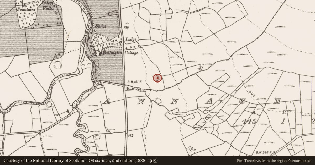 Ordnance Survey six-inch map, 2nd edition (1888–1915) covering the location of Enclosure, Ballinglen, County Mayo, with a pin at the register's coordinates