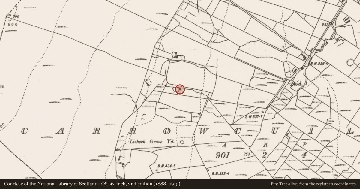 Ordnance Survey six-inch map, 2nd edition (1888–1915) covering the location of Enclosure, Carrowcuilleen, County Mayo, with a pin at the register's coordinates