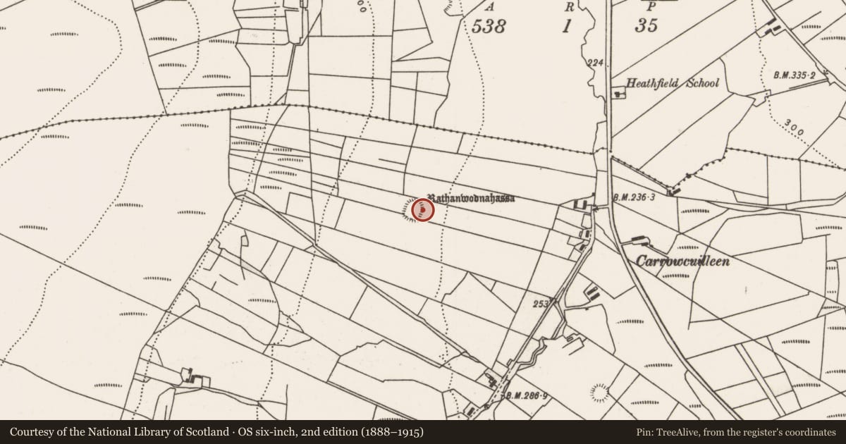 Ordnance Survey six-inch map, 2nd edition (1888–1915) covering the location of Ringfort - rath, Carrowcuilleen, County Mayo, with a pin at the register's coordinates