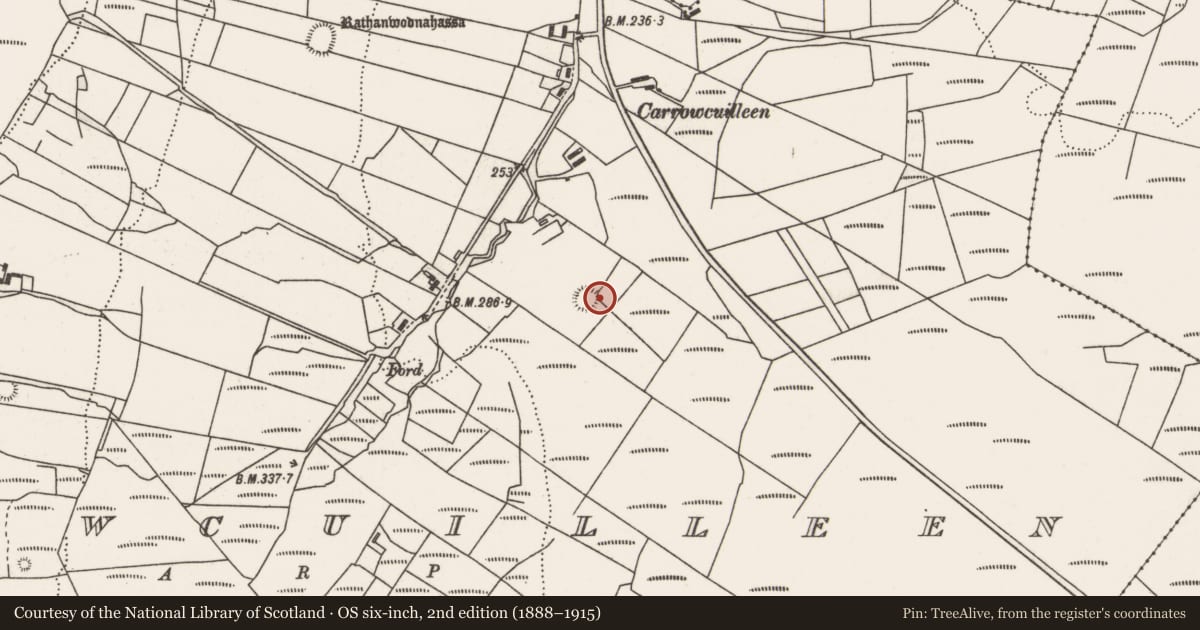 Ordnance Survey six-inch map, 2nd edition (1888–1915) covering the location of Ringfort - rath, Carrowcuilleen, County Mayo, with a pin at the register's coordinates