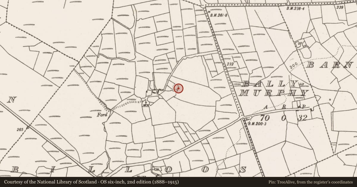 Ordnance Survey six-inch map, 2nd edition (1888–1915) covering the location of Ringfort - rath, Billoos, County Mayo, with a pin at the register's coordinates