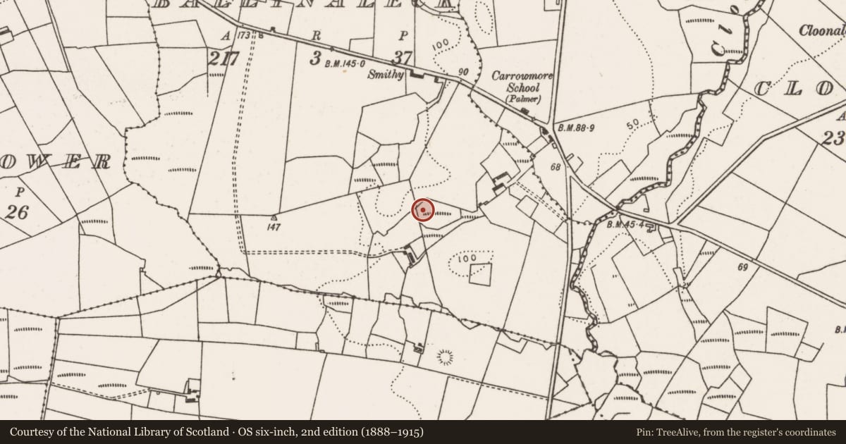 Ordnance Survey six-inch map, 2nd edition (1888–1915) covering the location of Enclosure, Ballynaleck, County Mayo, with a pin at the register's coordinates