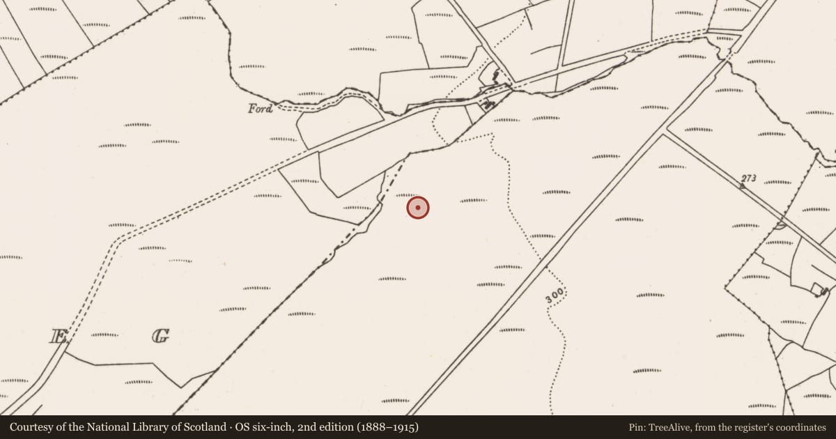Ordnance Survey six-inch map, 2nd edition (1888–1915) covering the location of Megalithic tomb - court tomb, Ballybeg (Tirawley By., Rathreagh Par.), County Mayo, with a pin at the register's coordinates