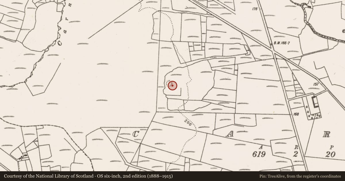 Ordnance Survey six-inch map, 2nd edition (1888–1915) covering the location of Ringfort - rath, Carn (Tirawley By., Lackan Par.), County Mayo, with a pin at the register's coordinates