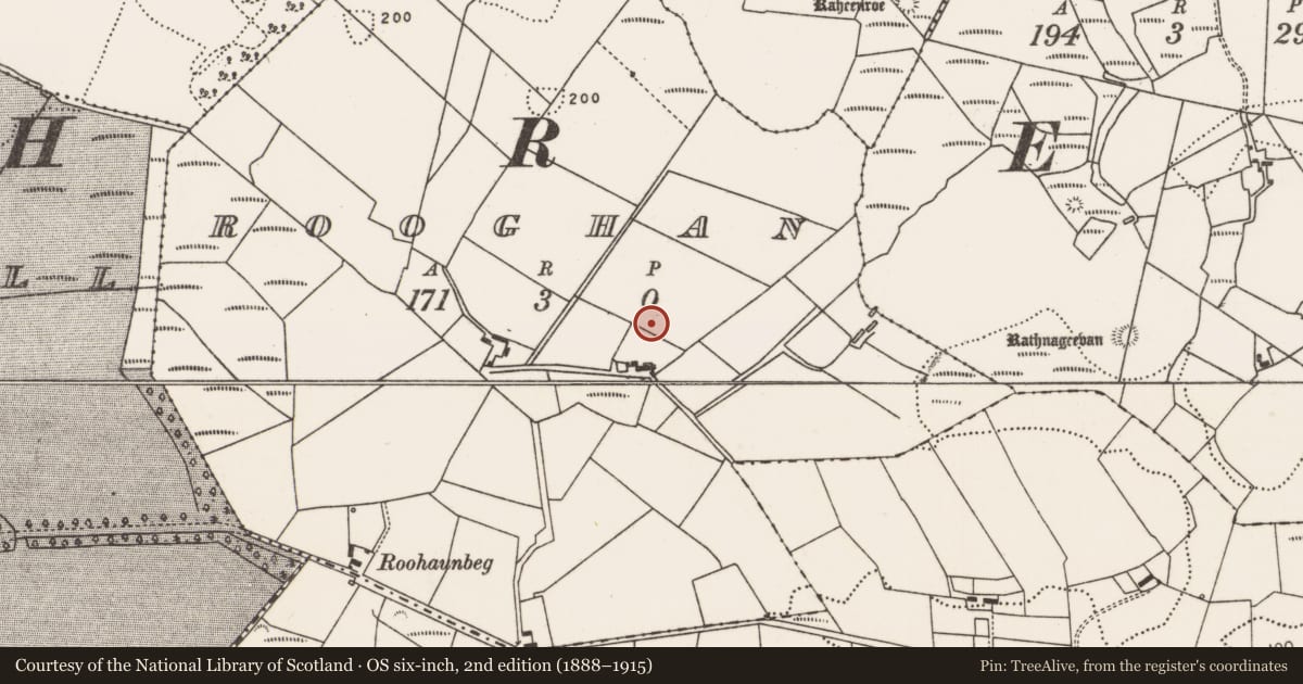 Ordnance Survey six-inch map, 2nd edition (1888–1915) covering the location of Megalithic tomb - court tomb, Rooghan, County Mayo, with a pin at the register's coordinates