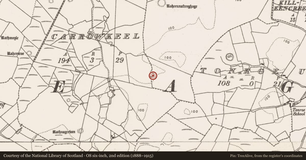 Ordnance Survey six-inch map, 2nd edition (1888–1915) covering the location of Ringfort - rath, Bellasallagh, County Mayo, with a pin at the register's coordinates
