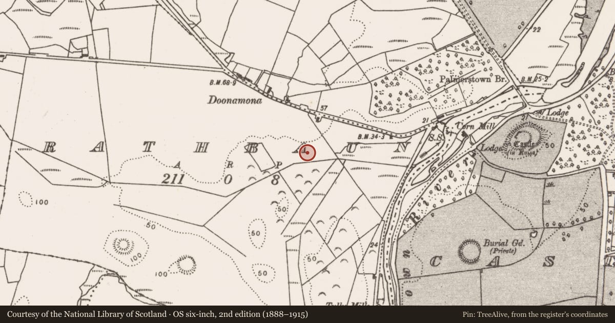 Ordnance Survey six-inch map, 2nd edition (1888–1915) covering the location of Megalithic tomb - court tomb, Rathbaun (Tirawley By., Templemore Par.), County Mayo, with a pin at the register's coordinates