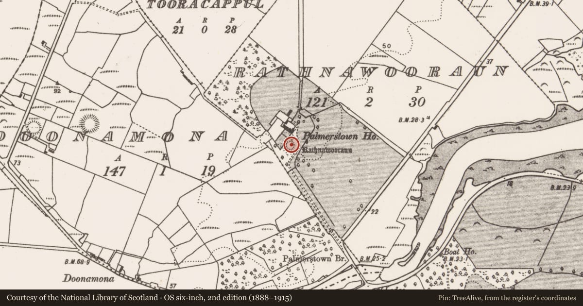 Ordnance Survey six-inch map, 2nd edition (1888–1915) covering the location of Ringfort - rath, Rathnawooraun, County Mayo, with a pin at the register's coordinates
